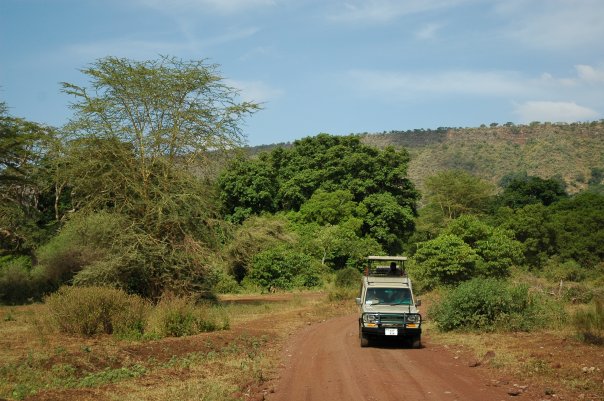 Image result for ngorongoro national park