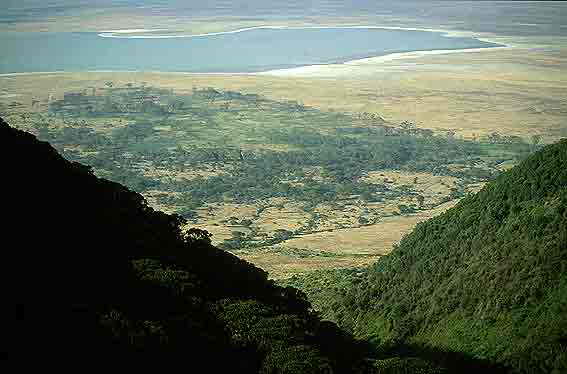 Crater Ngorongoro