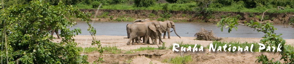 Ruaha