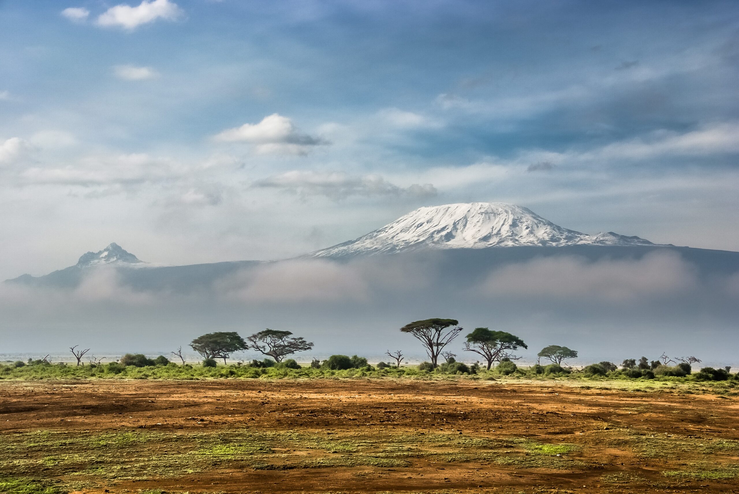 Africa Trip Specialist | Kilimanjaro | Africa Budget Safari | Local Tour Tanzania