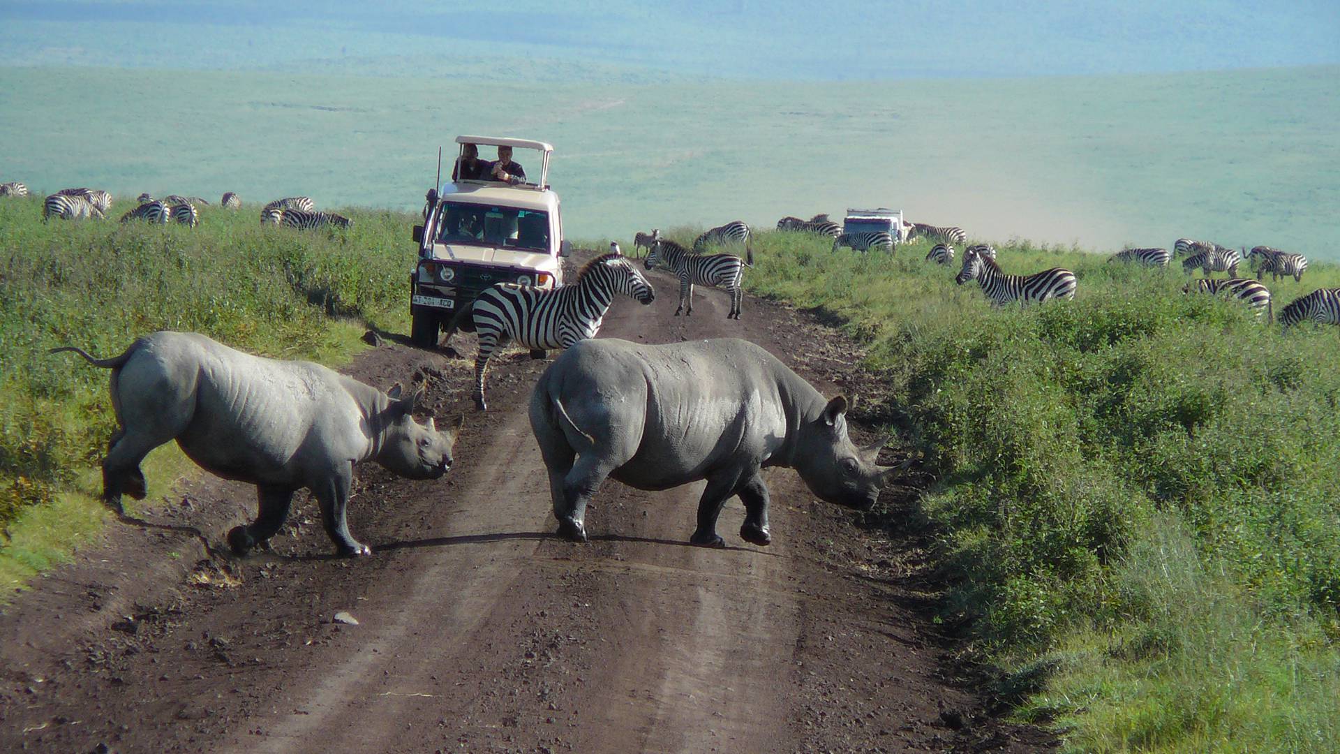 Safari Trip Tanzania | Customize | Group Safari Africa Specialist | local Tour 