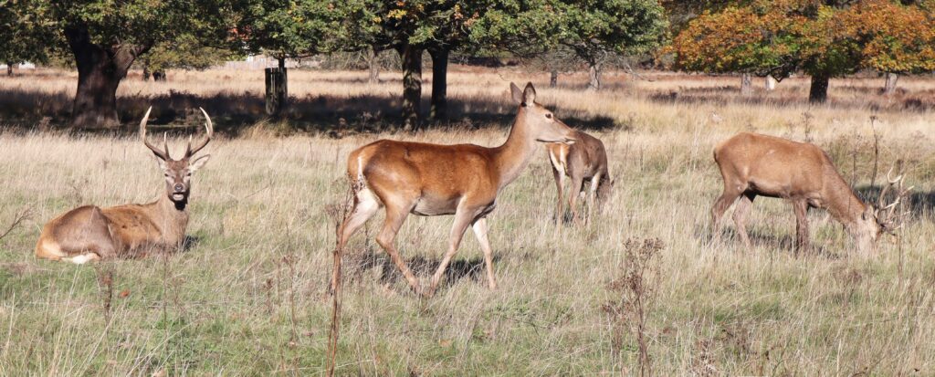 Budget Group | Safari Africa | Specialist Trip Tanzania | Southern Tanzania